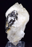 10.5cms HUBNERITE QUARTZ CRYSTALS Mineral Specimen Collector Peru M189