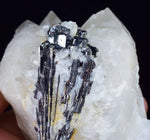 10.5cms HUBNERITE QUARTZ CRYSTALS Mineral Specimen Collector Peru M189