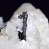 11.5cms HUBNERITE QUARTZ CRYSTALS Mineral Specimen Collector Peru M190
