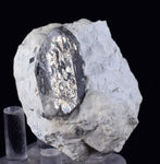 5cms DANBURITE CRYSTAL BOLIVIA Chapare Bermentite Silicate Orthorhombic Matrix Gem Facet Mineral Specimen X5