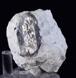 5cms DANBURITE CRYSTAL BOLIVIA Chapare Bermentite Silicate Orthorhombic Matrix Gem Facet Mineral Specimen X5