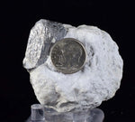 5cms DANBURITE CRYSTAL BOLIVIA Chapare Bermentite Silicate Orthorhombic Matrix Gem Facet Mineral Specimen X5