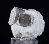 5cms DANBURITE CRYSTAL BOLIVIA Chapare Bermentite Silicate Orthorhombic Matrix Gem Facet Mineral Specimen X5