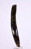 5.6cms GOLDEN BLACK CORAL Polished Peru Natural Branch Sea Genuine for Pendant Beads Jewelry Cabochon VE53