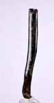 6.1cms GOLDEN BLACK CORAL Polished Peru Natural Branch Sea Genuine for Pendant Beads Jewelry Cabochon VE57