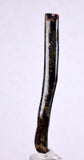 6.1cms GOLDEN BLACK CORAL Polished Peru Natural Branch Sea Genuine for Pendant Beads Jewelry Cabochon VE57