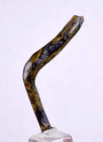 4.2cms GOLDEN BLACK CORAL Polished Peru Natural Branch Sea Genuine for Pendant Beads Jewelry Cabochon VE64
