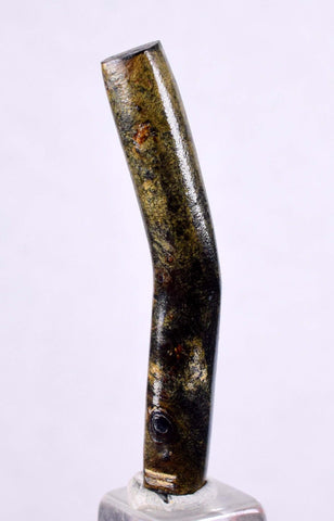 4cms GOLDEN BLACK CORAL Polished Peru Natural Branch Sea Genuine for Pendant Beads Jewelry Cabochon VE72