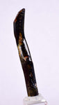 4.9cms GOLDEN BLACK CORAL Polished Peru Natural Branch Sea Genuine for Pendant Beads Jewelry Cabochon VE75