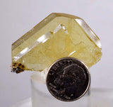 3.9cms GEMMY BARITE CRYSTALS Peru Golden Brown Shiny Translucent Mineral Specimen F339
