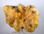 14cms GOLDEN SELENITE CRYSTALS Cluster Fish Tail Peru Yellow Gypsum Mineral Specimen T338