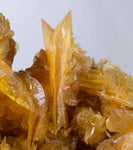 14cms GOLDEN SELENITE CRYSTALS Cluster Fish Tail Peru Yellow Gypsum Mineral Specimen T338