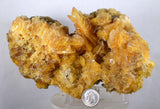 14cms GOLDEN SELENITE CRYSTALS Cluster Fish Tail Peru Yellow Gypsum Mineral Specimen T338