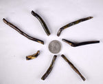 Lot 7 GOLDEN BLACK CORALS Polished Peru Natural Branch Sea Genuine for Pendant Beads Jewelry Cabochon VE76