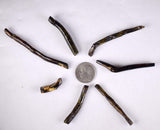Lot 7 GOLDEN BLACK CORALS Polished Peru Natural Branch Sea Genuine for Pendant Beads Jewelry Cabochon VE76