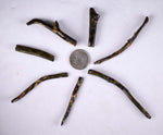 Lot 7 GOLDEN BLACK CORALS Polished Peru Natural Branch Sea Genuine for Pendant Beads Jewelry Cabochon VE77