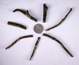 Lot 7 GOLDEN BLACK CORALS Polished Peru Natural Branch Sea Genuine for Pendant Beads Jewelry Cabochon VE77