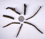 Lot 7 GOLDEN BLACK CORALS Polished Peru Natural Branch Sea Genuine for Pendant Beads Jewelry Cabochon VE77