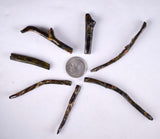 Lot 7 GOLDEN BLACK CORALS Polished Peru Natural Branch Sea Genuine for Pendant Beads Jewelry Cabochon VE77
