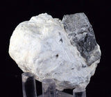 5cms DANBURITE CRYSTAL BOLIVIA Chapare Bermentite Silicate Orthorhombic Matrix Gem Facet Mineral Specimen X5