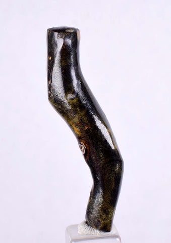 4.7cms GOLDEN BLACK CORAL Polished Peru Natural Branch Sea Genuine for Pendant Beads Jewelry Cabochon VE49