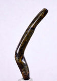 5.6cms GOLDEN BLACK CORAL Polished Peru Natural Branch Sea Genuine for Pendant Beads Jewelry Cabochon VE53