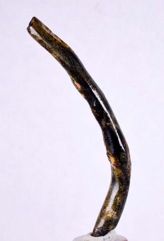 6.1cms GOLDEN BLACK CORAL Polished Peru Natural Branch Sea Genuine for Pendant Beads Jewelry Cabochon VE58