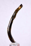 6.1cms GOLDEN BLACK CORAL Polished Peru Natural Branch Sea Genuine for Pendant Beads Jewelry Cabochon VE58