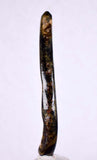 6.1cms GOLDEN BLACK CORAL Polished Peru Natural Branch Sea Genuine for Pendant Beads Jewelry Cabochon VE58