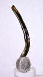 6.1cms GOLDEN BLACK CORAL Polished Peru Natural Branch Sea Genuine for Pendant Beads Jewelry Cabochon VE58