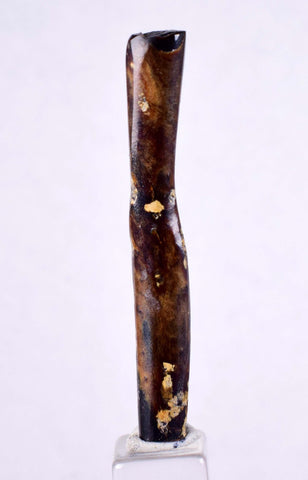 5.1cms GOLDEN BLACK CORAL Polished Peru Natural Branch Sea Genuine for Pendant Beads Jewelry Cabochon VE66