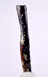5.1cms GOLDEN BLACK CORAL Polished Peru Natural Branch Sea Genuine for Pendant Beads Jewelry Cabochon VE66