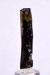 3.7cms GOLDEN BLACK CORAL Polished Peru Natural Branch Sea Genuine for Pendant Beads Jewelry Cabochon VE70