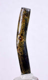 4cms GOLDEN BLACK CORAL Polished Peru Natural Branch Sea Genuine for Pendant Beads Jewelry Cabochon VE72