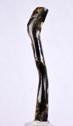 5.4cms GOLDEN BLACK CORAL Polished Peru Natural Branch Sea Genuine for Pendant Beads Jewelry Cabochon VE73