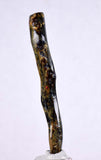 5.4cms GOLDEN BLACK CORAL Polished Peru Natural Branch Sea Genuine for Pendant Beads Jewelry Cabochon VE73