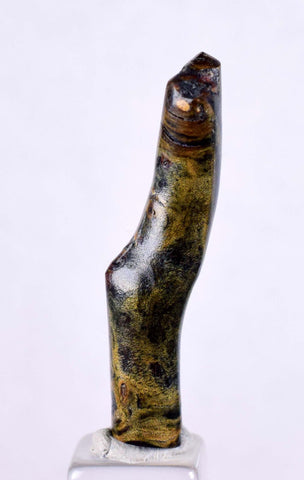 3.5cms GOLDEN BLACK CORAL Polished Peru Natural Branch Sea Genuine for Pendant Beads Jewelry Cabochon VE74