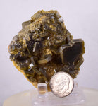 6cm Golden BARITE CRYSTALS Peru Translucent Mineral Specimen F359