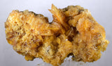 14cms GOLDEN SELENITE CRYSTALS Cluster Fish Tail Peru Yellow Gypsum Mineral Specimen T338