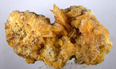 14cms GOLDEN SELENITE CRYSTALS Cluster Fish Tail Peru Yellow Gypsum Mineral Specimen T338