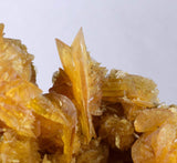 14cms GOLDEN SELENITE CRYSTALS Cluster Fish Tail Peru Yellow Gypsum Mineral Specimen T338