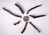 Lot 7 GOLDEN BLACK CORALS Polished Peru Natural Branch Sea Genuine for Pendant Beads Jewelry Cabochon VE76