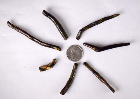 Lot 7 GOLDEN BLACK CORALS Polished Peru Natural Branch Sea Genuine for Pendant Beads Jewelry Cabochon VE76