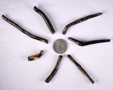 Lot 7 GOLDEN BLACK CORALS Polished Peru Natural Branch Sea Genuine for Pendant Beads Jewelry Cabochon VE76