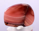 3cms RHODOCHROSITE QUARTZ Peru Sculpture Slab Polished Art Decoration Jewelry Translucent Pendant Banded Mineral Specimen R337