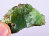 17Grams GEM SILICA CHRYSOCOLLA Rough Chalcedony Emerald Jade Color Lily Mine S46
