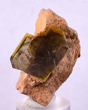 4.1cm Golden BARITE CRYSTALS Peru Translucent Mineral Specimen F357