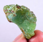 17Grams GEM SILICA CHRYSOCOLLA Rough Chalcedony Emerald Jade Color Lily Mine S46