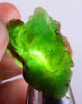 17Grams GEM SILICA CHRYSOCOLLA Rough Chalcedony Emerald Jade Color Lily Mine S46