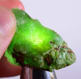 17Grams GEM SILICA CHRYSOCOLLA Rough Chalcedony Emerald Jade Color Lily Mine S46